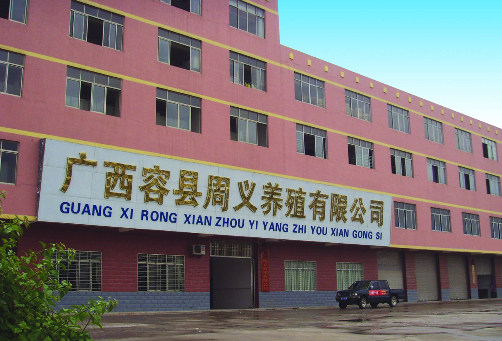 广西周义养殖